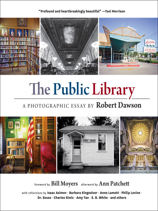Title details for The Public Library by Robert Dawson - Available